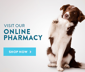 Vets First Choice